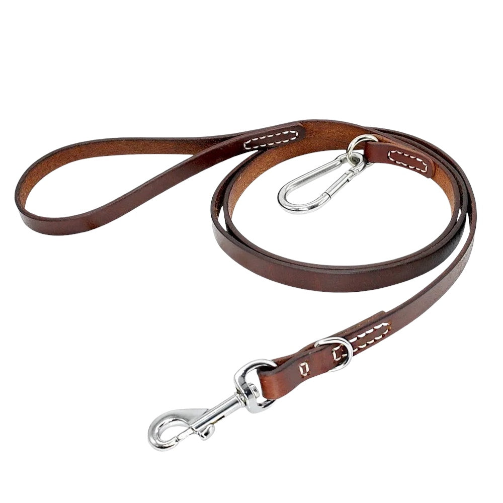 The lasso