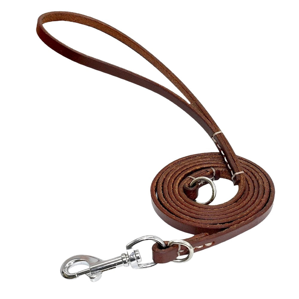 The lasso