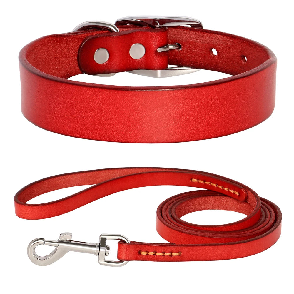 Le Monaco (collier+laisse)