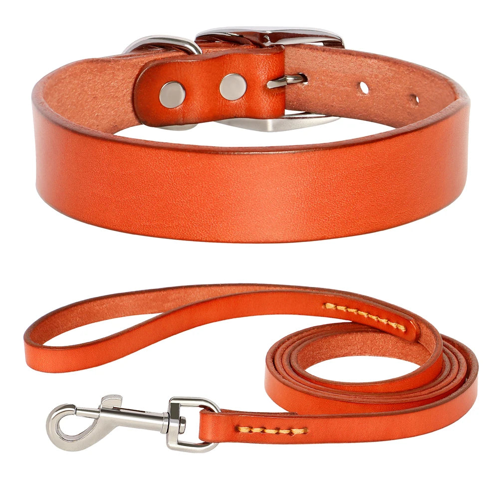 Le Monaco (collier+laisse)