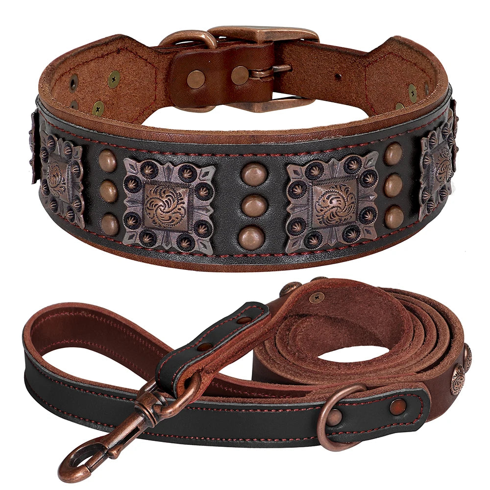Le Skatt (collier+laisse)