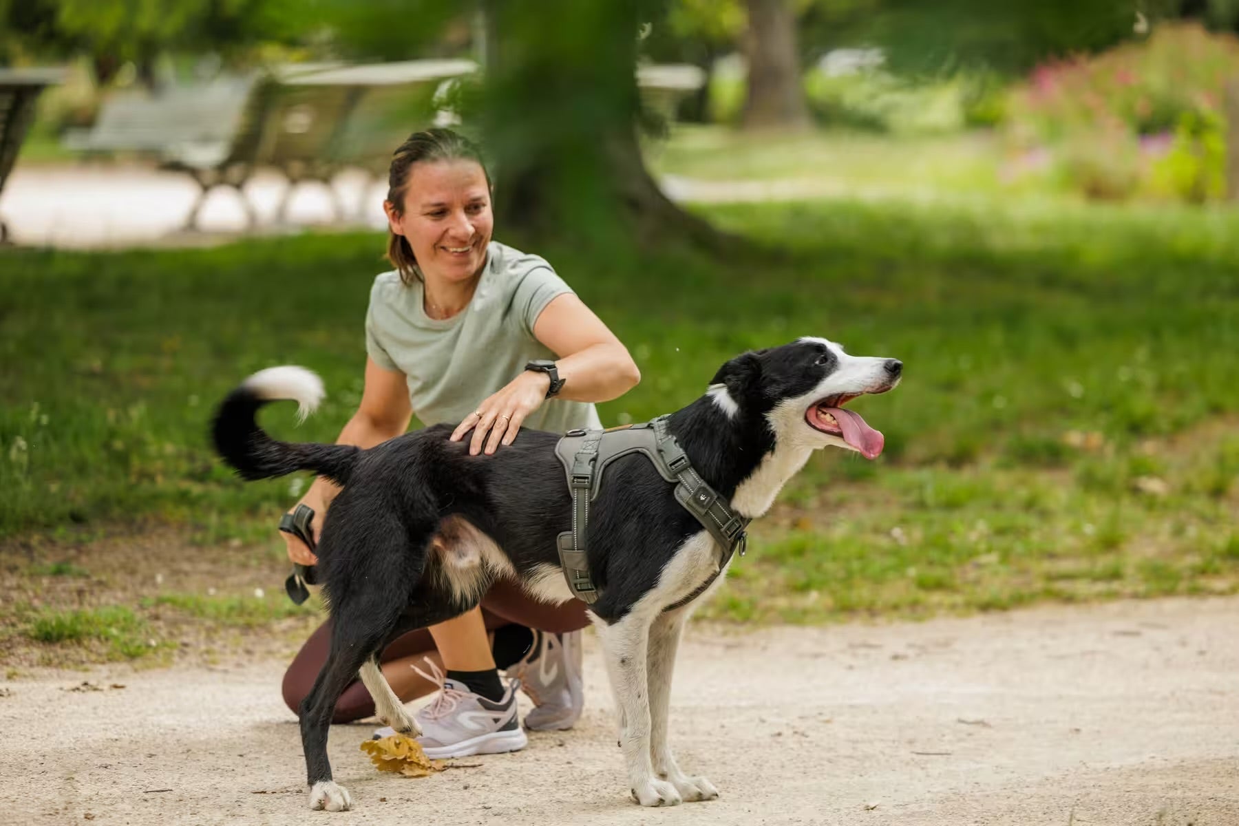 Comment choisir le harnais de son chien ?