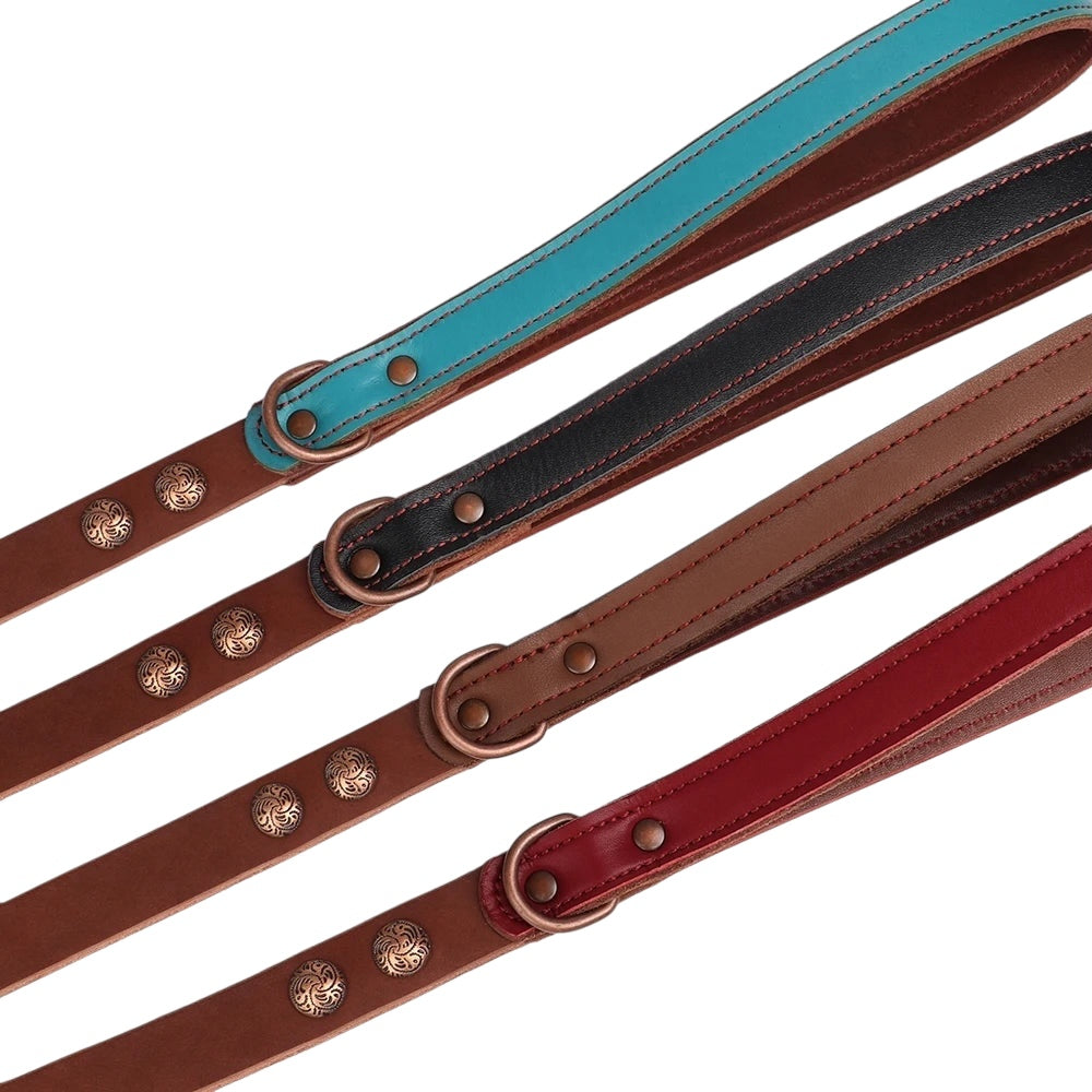 Le Skatt (collier+laisse)