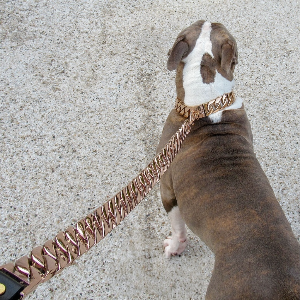 La Cuban XL «rose gold»