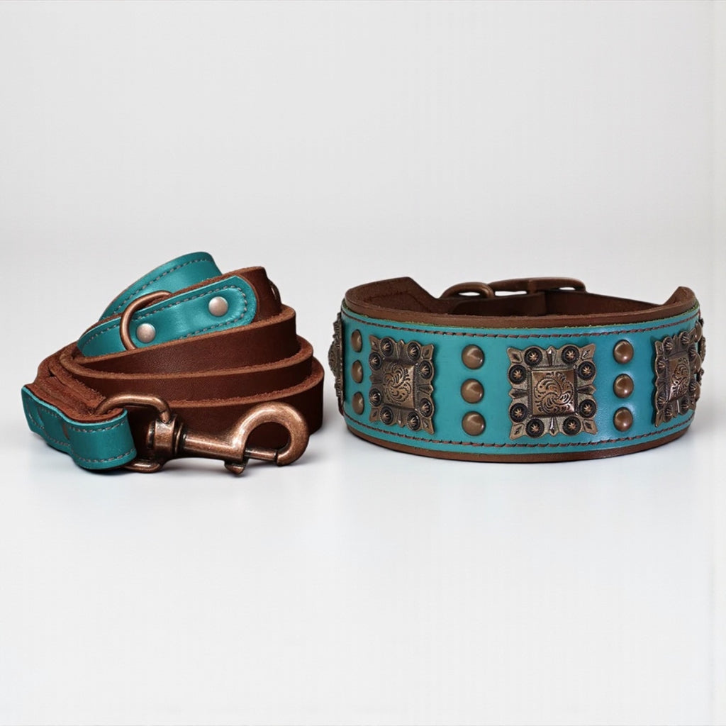 Le Skatt (collier+laisse)