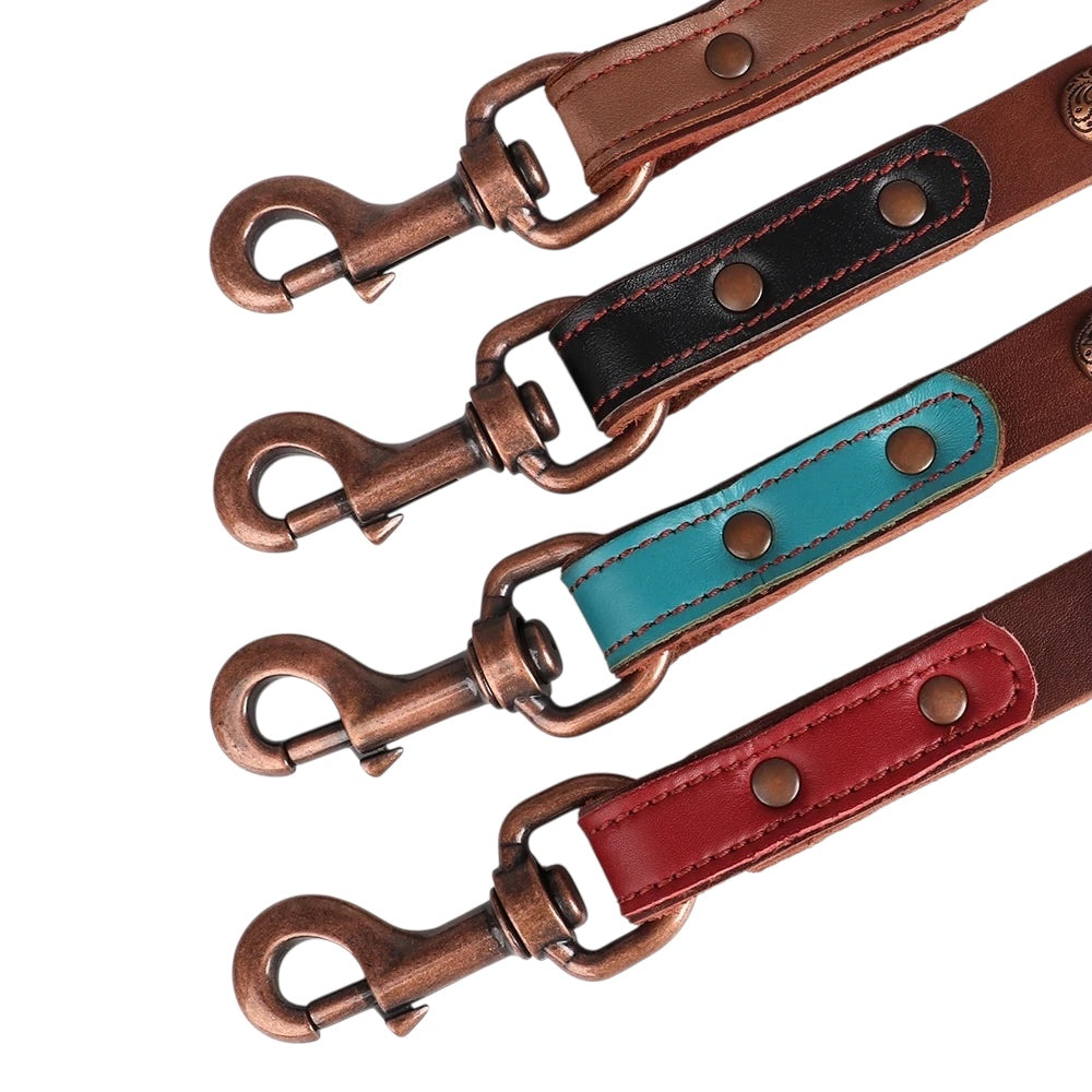 Le Skatt (collier+laisse)