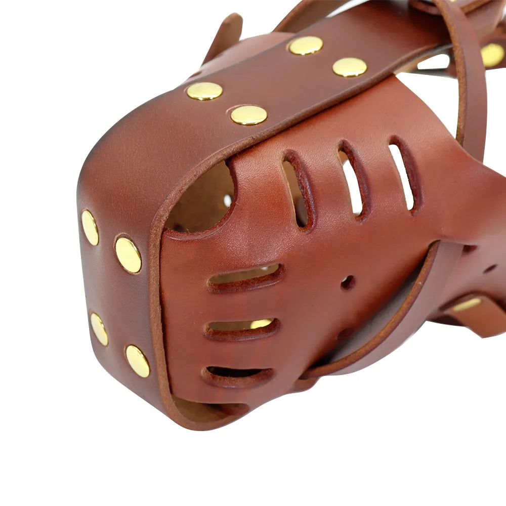 Leather muzzle