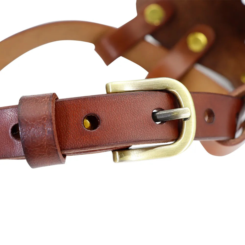 Muselière tout cuir