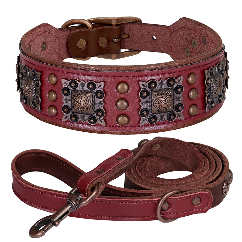 Le Skatt (collier+laisse)