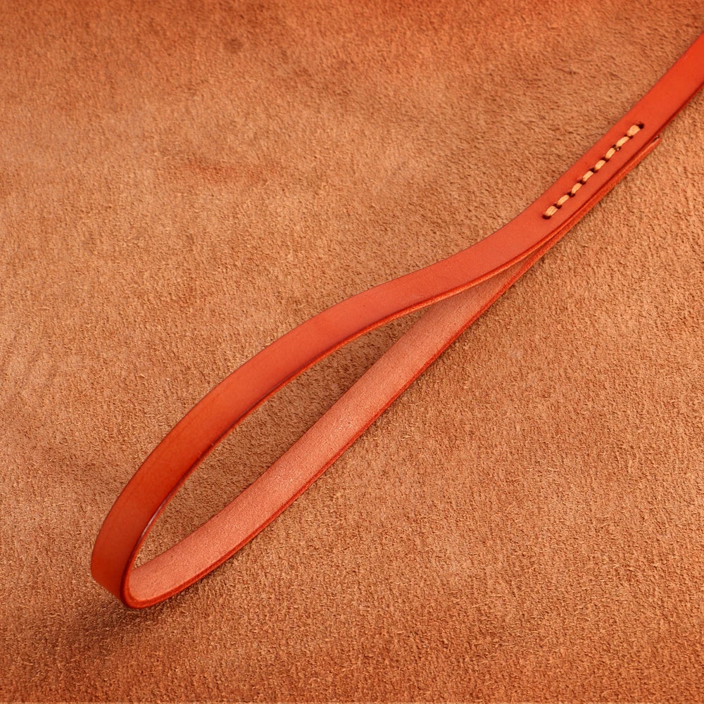 Le Monaco (collier+laisse)