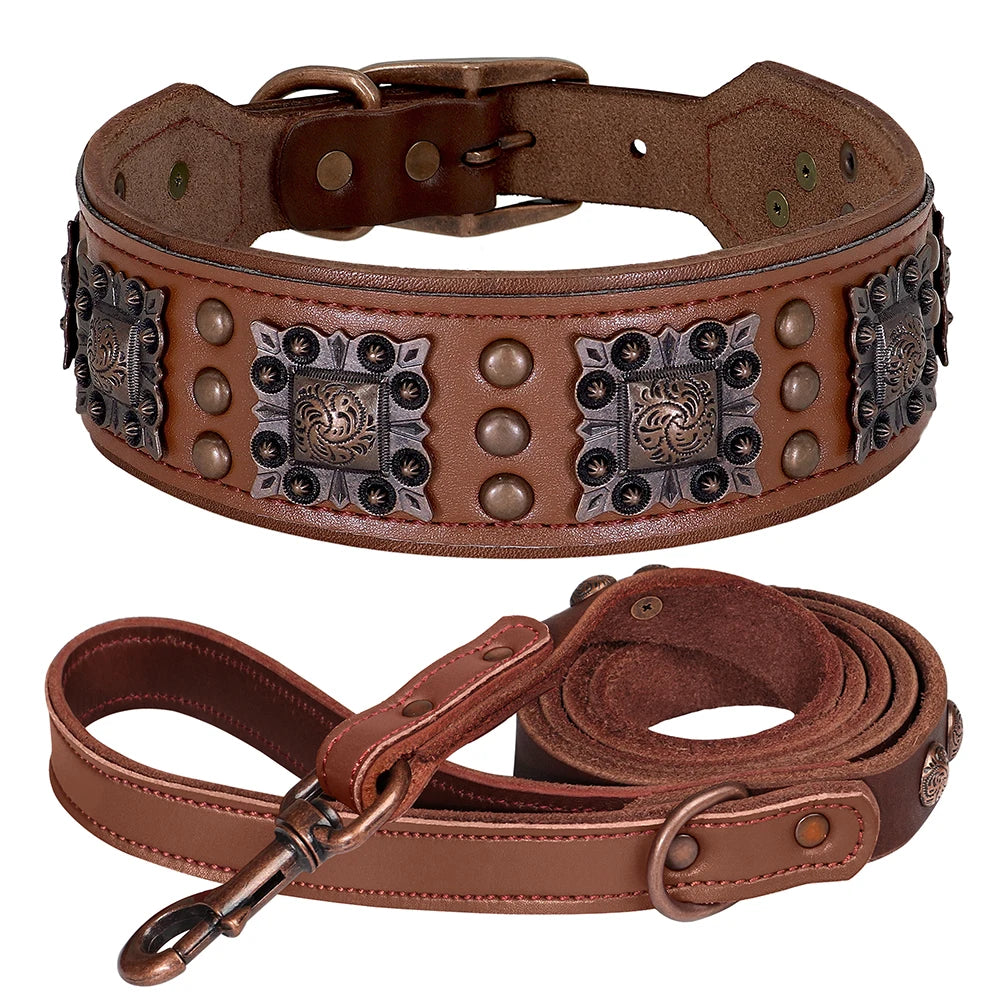 Le Skatt (collier+laisse)