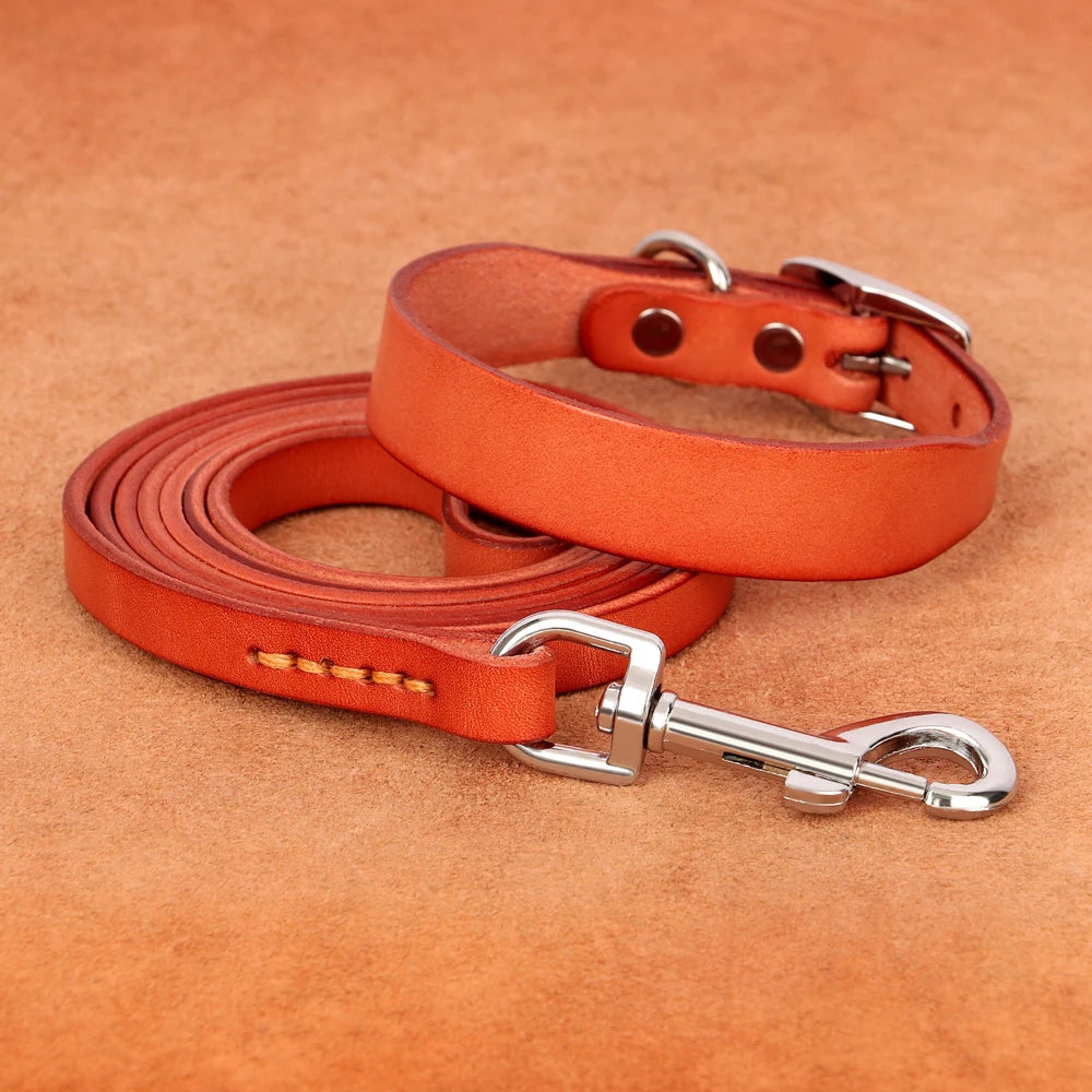 Le Monaco (collier+laisse)